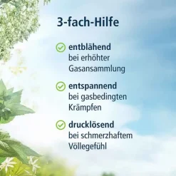 Hot Magen-Darm Entspannung, 20 St Medikamente Gegen Blähungen|Magentabletten