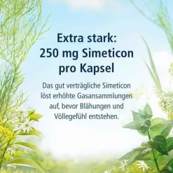 Hot Magen-Darm Entspannung, 20 St Medikamente Gegen Blähungen|Magentabletten