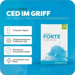 Clearance Forte magensaftresistente Kapseln, 120 St Bakterienkulturen