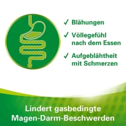 Online Lefax Enzym Kautabletten, 100 St