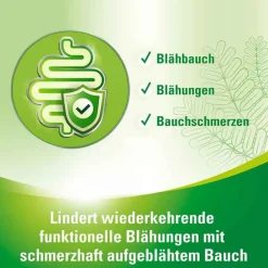 Best protect Hartkapseln, 15 St Medikamente Gegen Blähungen