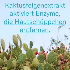 Leti balm Repair Fußpflegecreme, 100 ml