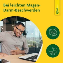 Löwenzahn Saft Schoenenberger HPS, 200 ml