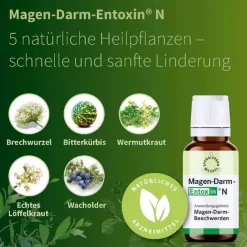 Hot Entoxin Magen Darm N Tropfen, 100 ml