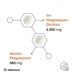 Clearance Vitamaze Magnesiumcitrat 360 mg vegan Kapseln, 180 St