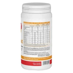 Megamax Aufbaukost Waldfrucht Pulver, 500 g