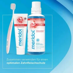 Meridol Rundumpflege Zahnpasta, 75 ml