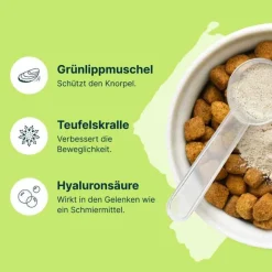 Sale Mobeel Ergänzungsfuttermittel Pulver für Hunde / Katzen, 150 g