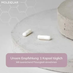 Moleqlar Longevity Hyaluron + Glycin Kapseln, 60 St