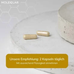 Moleqlar Longevity Regenad Kapseln, 60 St