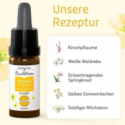 Online Murnauers Bachblüten Original Junior Tropfen, 10 ml
