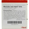 Heel Musculus suis Injeel forte Ampullen, 10 St
