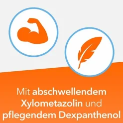 New NasenDuo Nasenspray von , 10 ml Kinder Nasenspray Kinder|Schnupfen & Nasennebenhöhlen