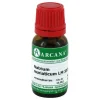 Clearance Natrium muriaticum Arcana LM 24 Dilution, 10 ml M-P|N