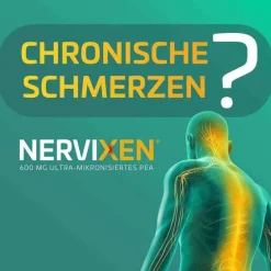 Hot Tabletten, 20 St Hirnleistung & Nerven