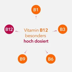 Online Neuropax -ratiopharm forte Kapseln, 80 St