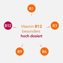 Neuropax-ratiopharm forte Kapseln, 40 St