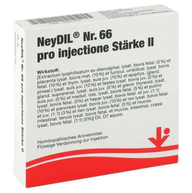 Sale Nr.66 pro injectione St. II Ampullen, 5X2 ml Vitorgan
