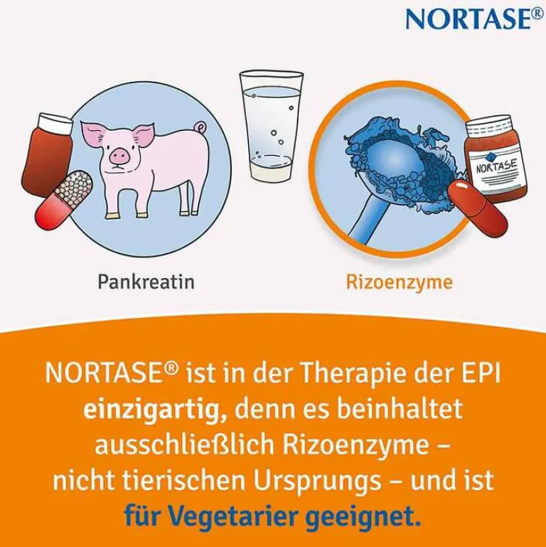 Best Kapseln vegetarische Verdauungsenzyme, 100 St Verdauung