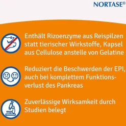 Discount Nortase Kapseln vegetarische Verdauungsenzyme, 20 St