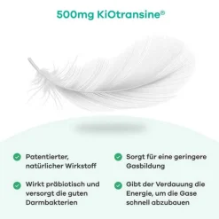 Outlet ® apriwell , 30 St Verdauung|Medikamente Gegen Blähungen