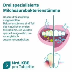 Best Nupure probadent forte 3 Bakterien Kulturen 5 Mrd. KBE Lutschtabletten, 30 St