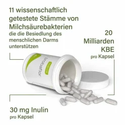 New probaflor Mikrobiotika magensaftresistent Kapseln, 90 St Bakterienkulturen