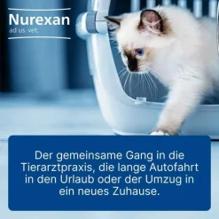 Nurexan ad us. vet. Tabletten , 100 St