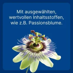 New ad us. vet. Tabletten , 500 St Biologische Heilmittel Heel Gmbh