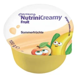 Hot Nutrini Creamy Fruit Sommerfrüchte, 48X100 g