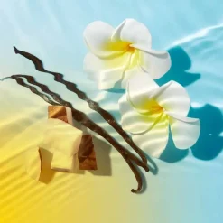 Sun Sonnenmilch Gesicht & Körper LSF 50, 150 ml Lsf 50+|Gesicht