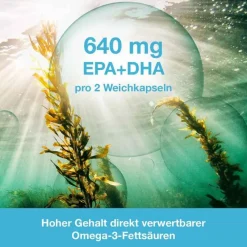 Online OMEGA3-Loges pflanzlich Kapseln, 60 St Omega 3 Kapseln