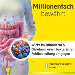 Discount N Probiotika Kapseln für die Darmflora, 50 St Kinder Mittel Gegen Durchfall & Erbrechen|Für Unterwegs