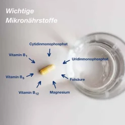 Online Orthomol neuro Kapseln, 90 St