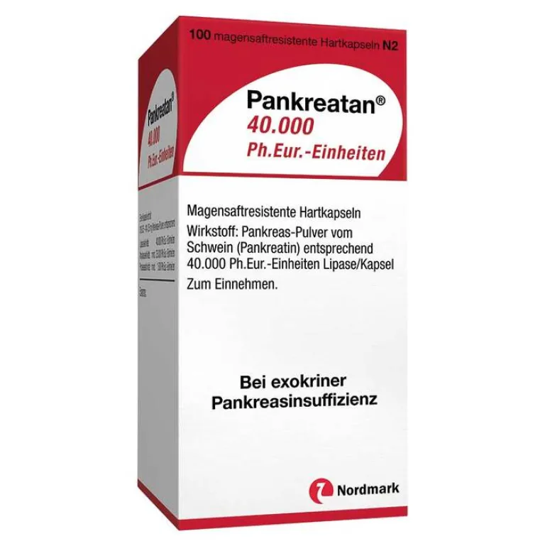 New Pankreatan 40.000 Ph.Eur.-Einheiten magensaftresistent Hartkapseln , 100 St