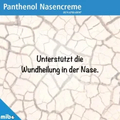 New Panthenol Nasencreme , 5 g Nasensalbe|Panthenol