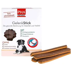 Online Gelenkstick für Hunde, 1 St Bewegungsapparat