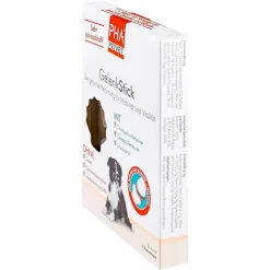 Online Gelenkstick für Hunde, 1 St Bewegungsapparat