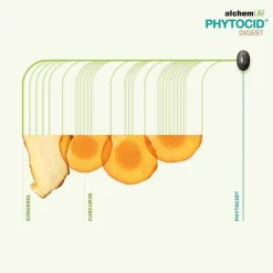 Discount Phytocid Digest Kapseln, 15 St