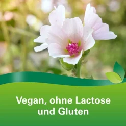 Phytohustil Hustenreizstiller Sirup, 150 ml