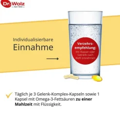 Online Dr. Wolz Proaktiv Komplex Kapseln, 80 St