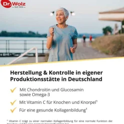 Online Dr. Wolz Proaktiv Komplex Kapseln, 80 St