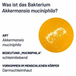 Best Probio-Cult AKK1 Akkermansia Tabletten, 30 St Bakterienkulturen