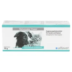 Sale Reconvales Power Vitaminpaste für Hunde / Katzen, 1X70 g Aufbau & Leistung|Aufbau & Leistungssteigerung
