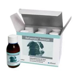 Online Alfavet Reconvales Tonicum für Hunde, 6X90 ml