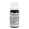 Regenaplex Nr.111 b Tropfen, 15 ml