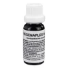 Hot Regenaplex Nr.62 d Tropfen, 15 ml