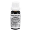 Regenaplex Nr.109 Tropfen, 15 ml
