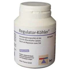 Hot Regulator- magensaftresistente Kapseln, 100 St Säure-Basenhaushalt