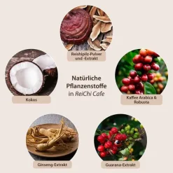 Clearance Dr. Jacobs ReiChi Cafe Dr. Jacob`s Pulver, 180 g